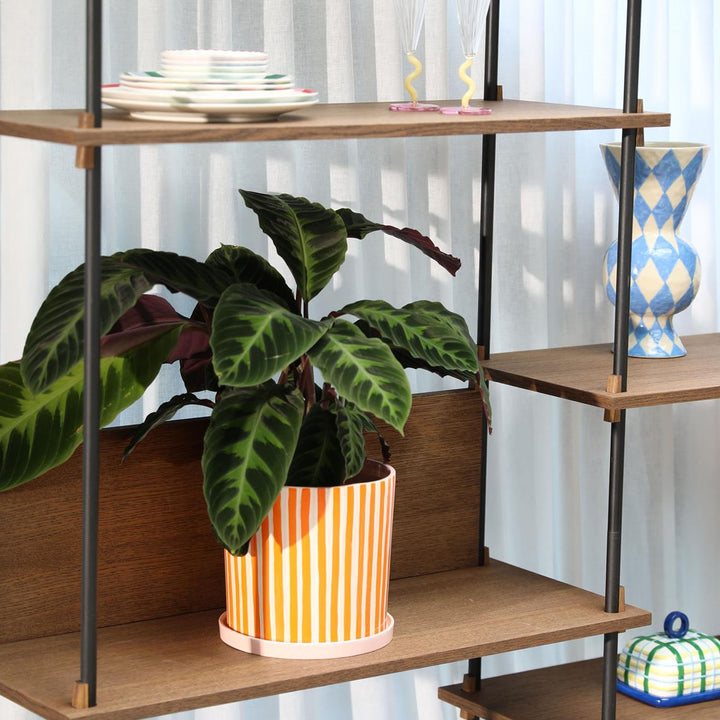 MACETA - & Klevering, Planter ray orange