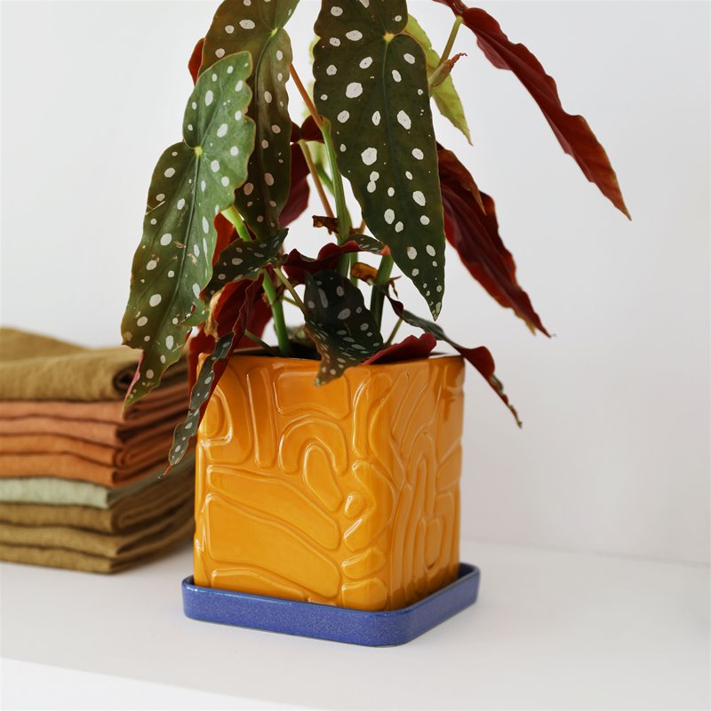 MACETA - & Klevering, Tribe Ochre