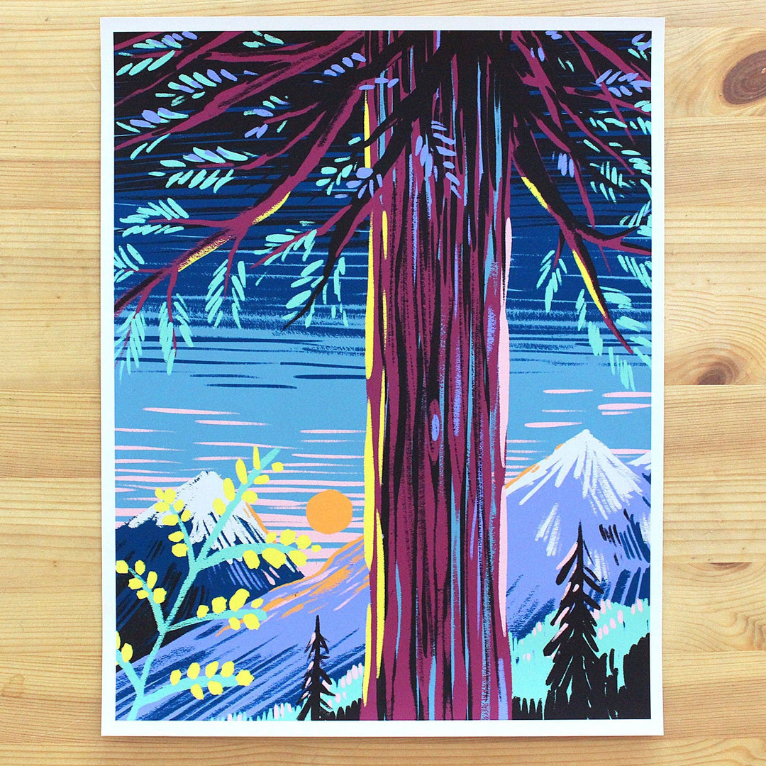 LÁMINA - I never draw, CALIFORNIA REDWOODS