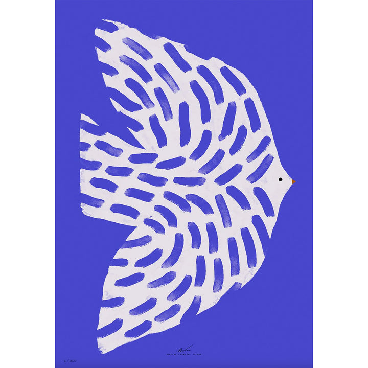 Copia de ILUSTRACIÓN - Matias Larrain, Blue Bird