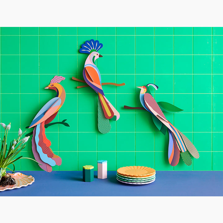 MAQUETA - Studio Roof, Tinjil