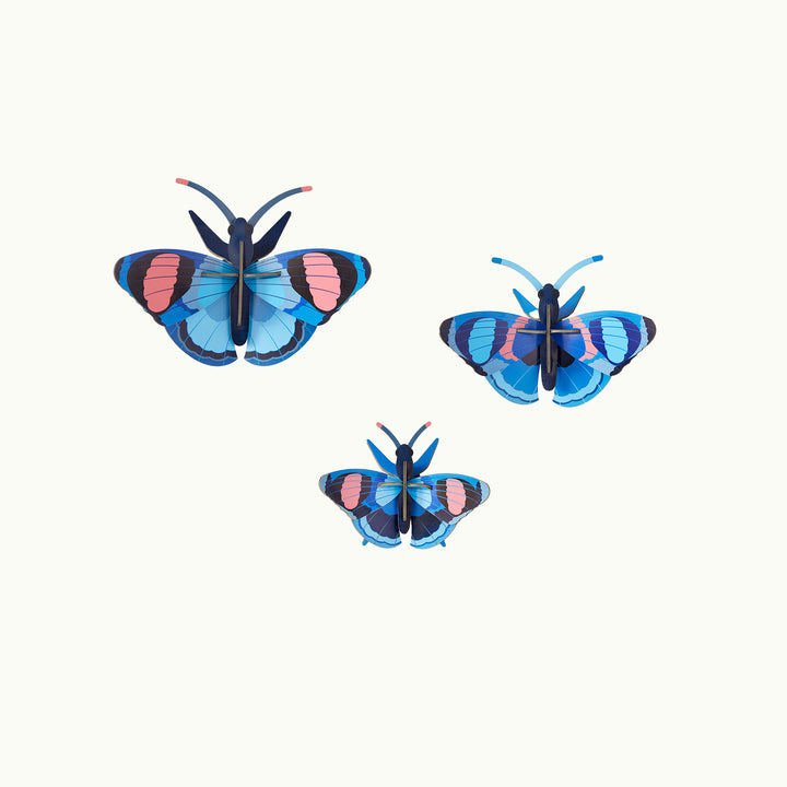 MAQUETA - Studio Roof, Peacock Butterflies