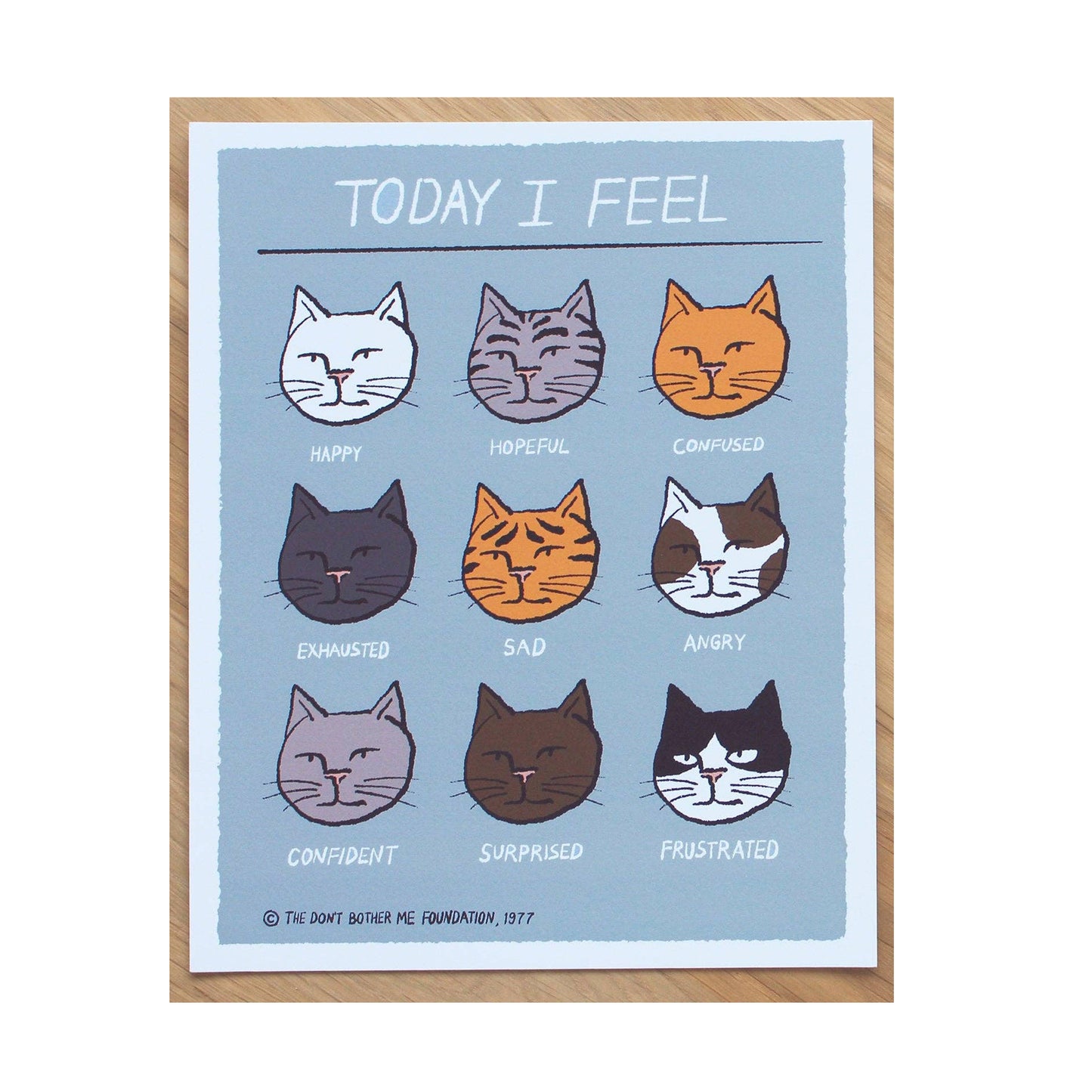 LÁMINA - I never draw, TODAY I FEEL CATS