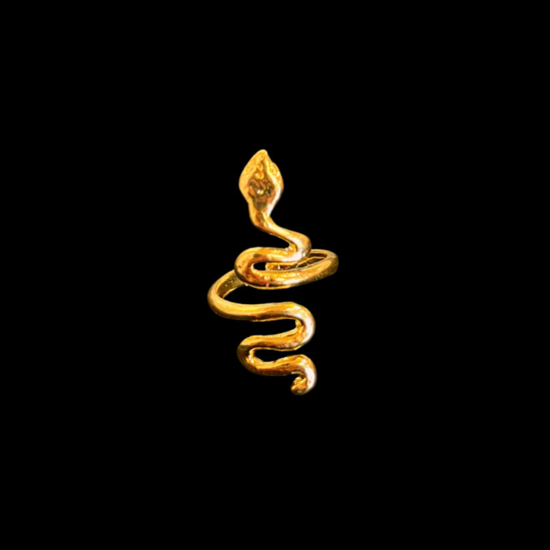 ANILLO - Susmie´s, Not from my Aunty