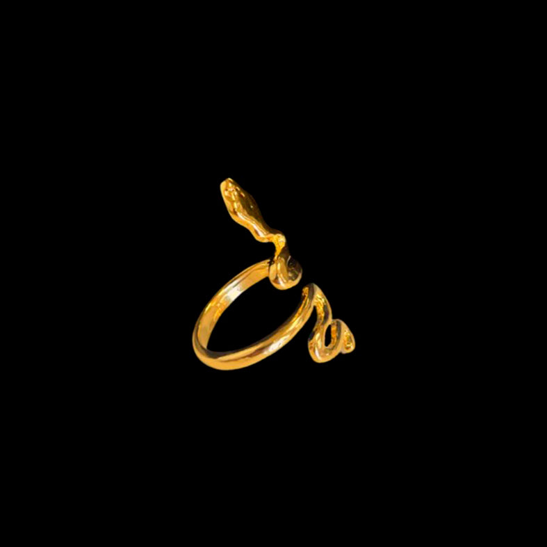ANILLO - Susmie´s, Not from my Aunty