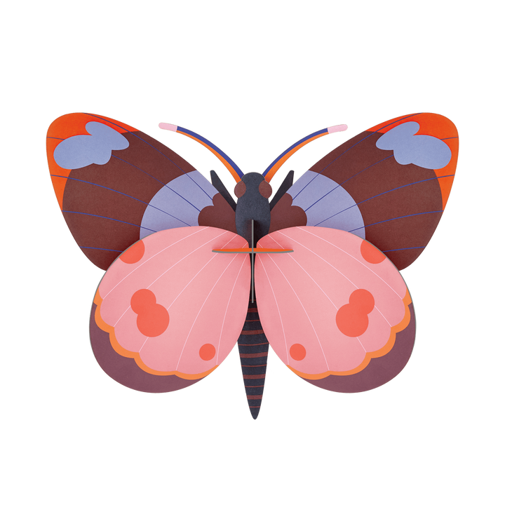 MAQUETA - Studio Roof, Bellissima Butterfly