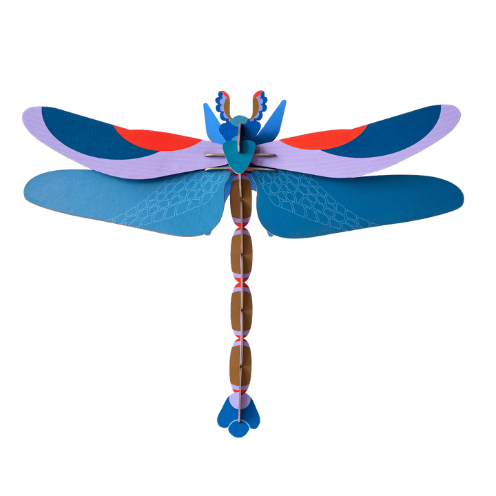 MAQUETA - Studio Roof, Blue Dragonfly