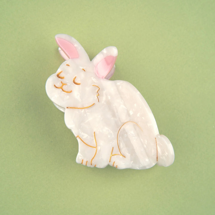 PINZA - Coucou Suzette, Conejo