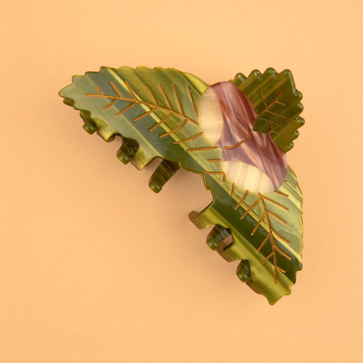 PINZA - Coucou Suzette, Castaña