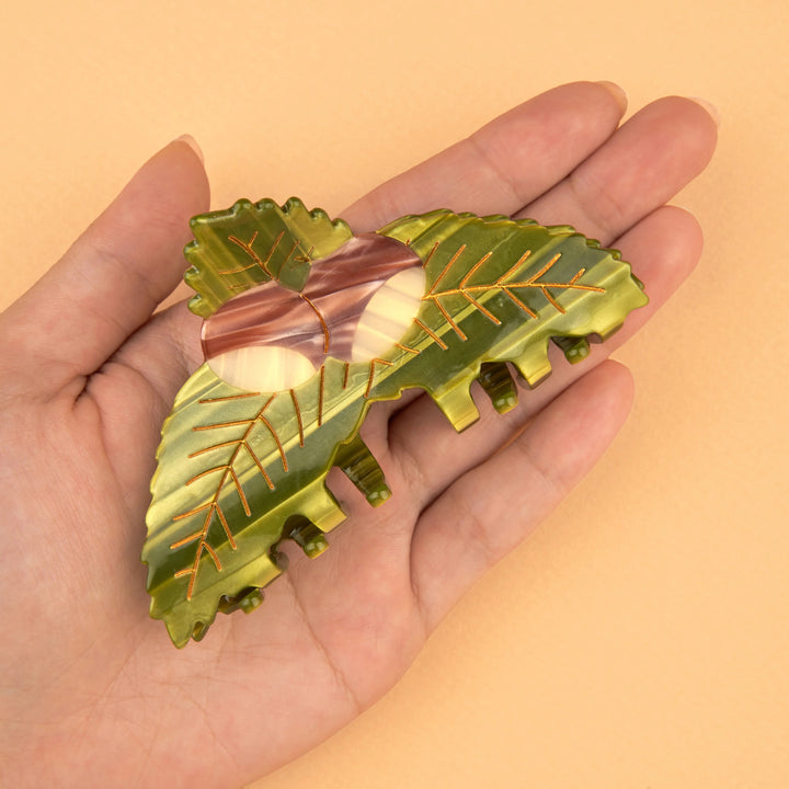 PINZA - Coucou Suzette, Castaña