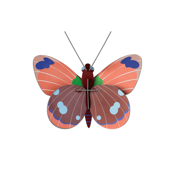 MAQUETA - Studio Roof, Delias Butterfly