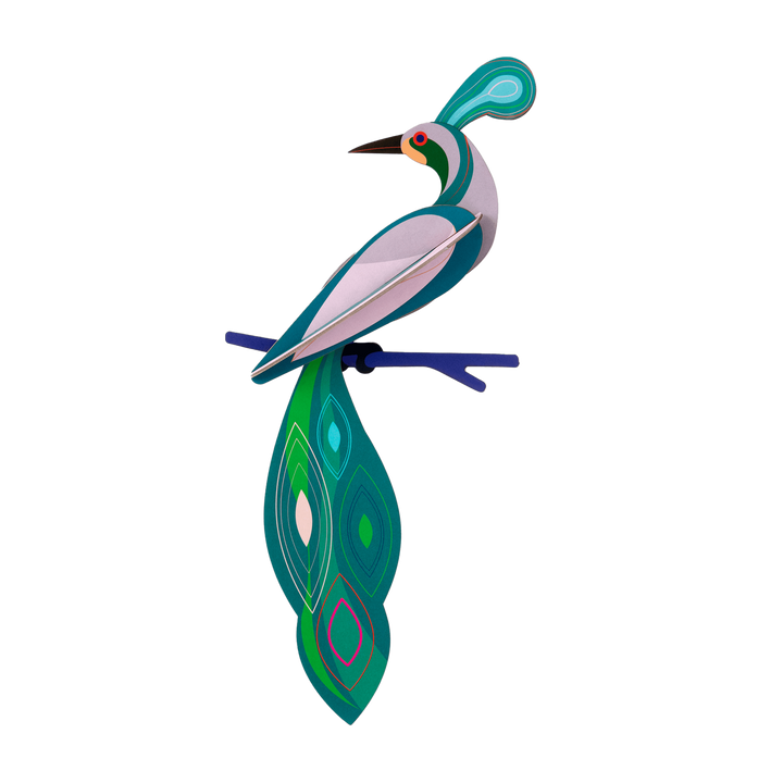 MAQUETA - Studio Roof, Fiji