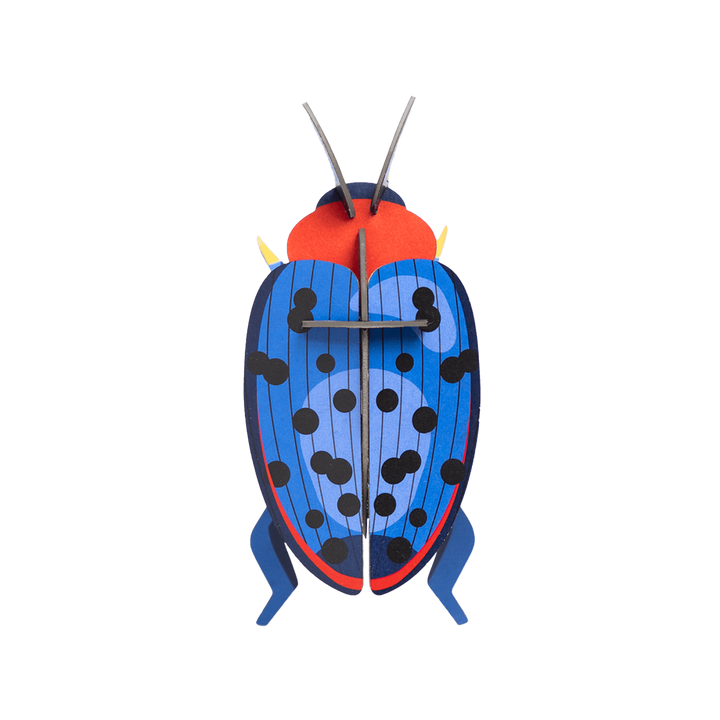 MAQUETA - Studio Roof, Fungus Beetle