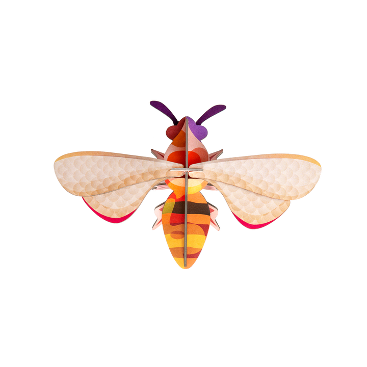 MAQUETA - Studio Roof, Honey Bee