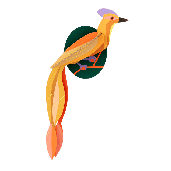 MAQUETA - Studio Roof, Olango