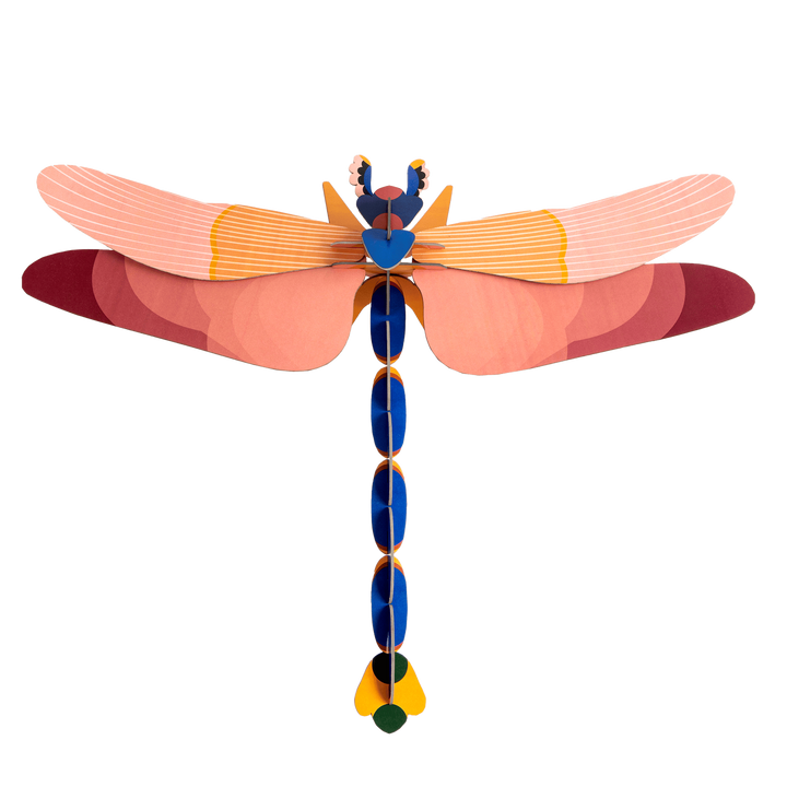 MAQUETA - Studio Roof, Pink Dragonfly