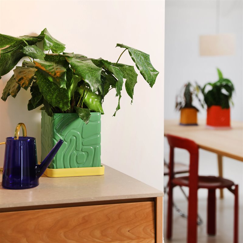 MACETA - & Klevering, Tribe Green