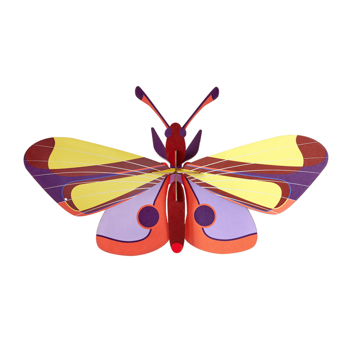 MAQUETA - Studio Roof, Purple Eyed Butterfly