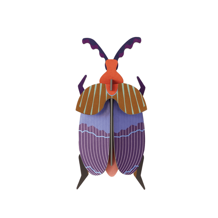 MAQUETA - Studio Roof, Queen Beetle