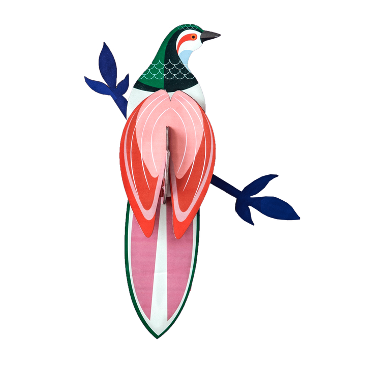 MAQUETA - Studio Roof, Paradise Bird Rani