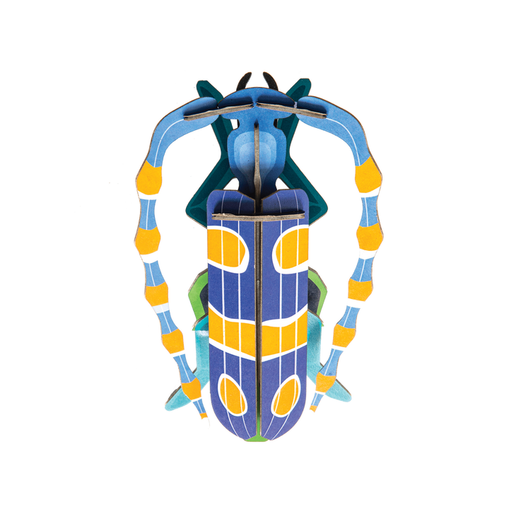 MAQUETA - Studio Roof, Rosalía Beetle