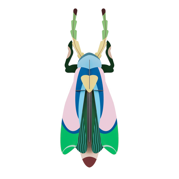 MAQUETA  - Studio Roof, Sakura Beetle