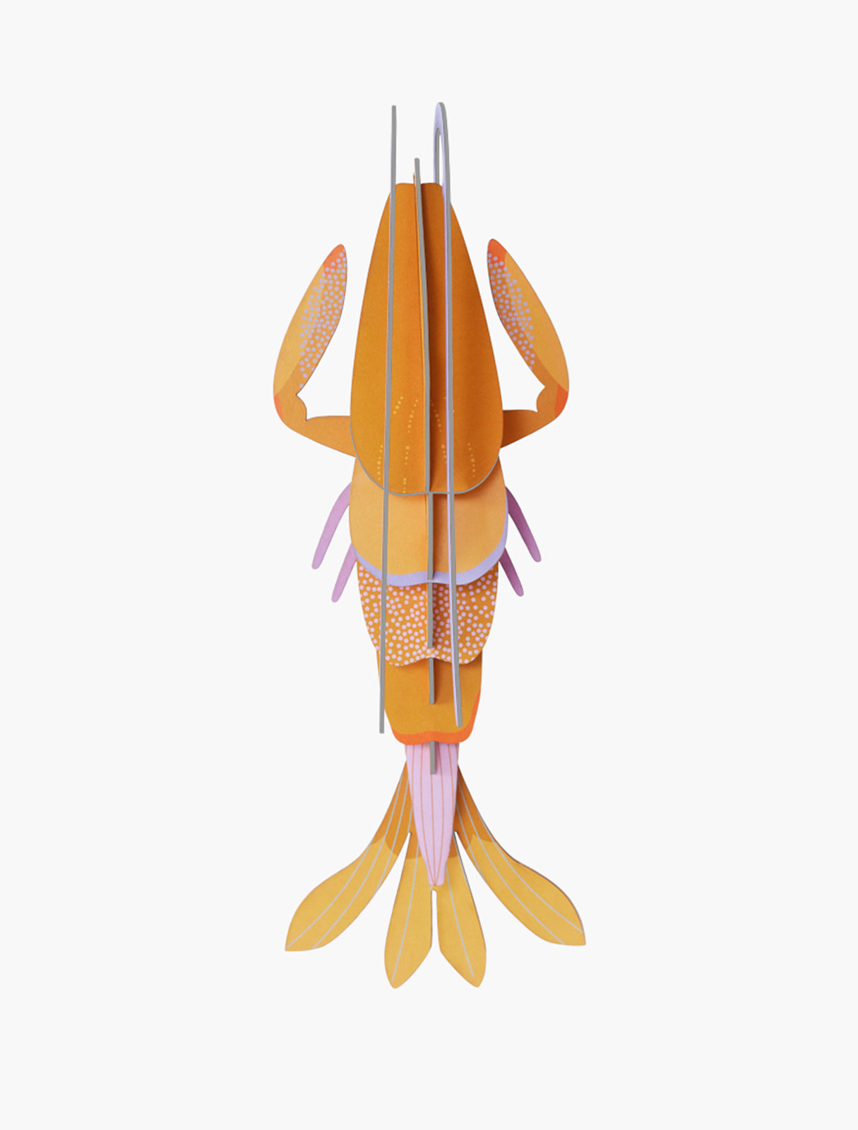 MAQUETA - Studio Roof, Amber Langoustine