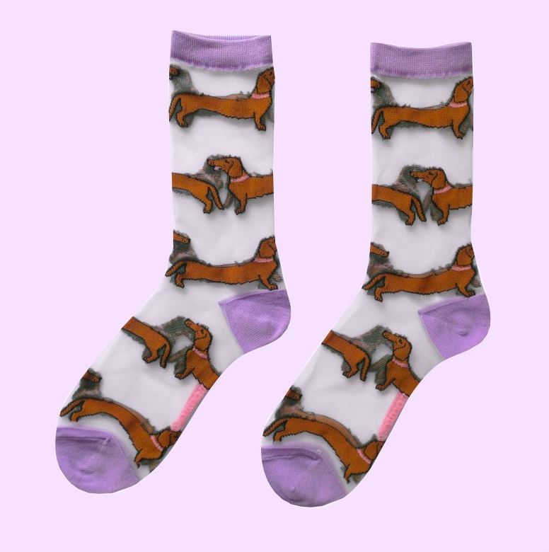 CALCETINES - Coucou Suzette, Teckel