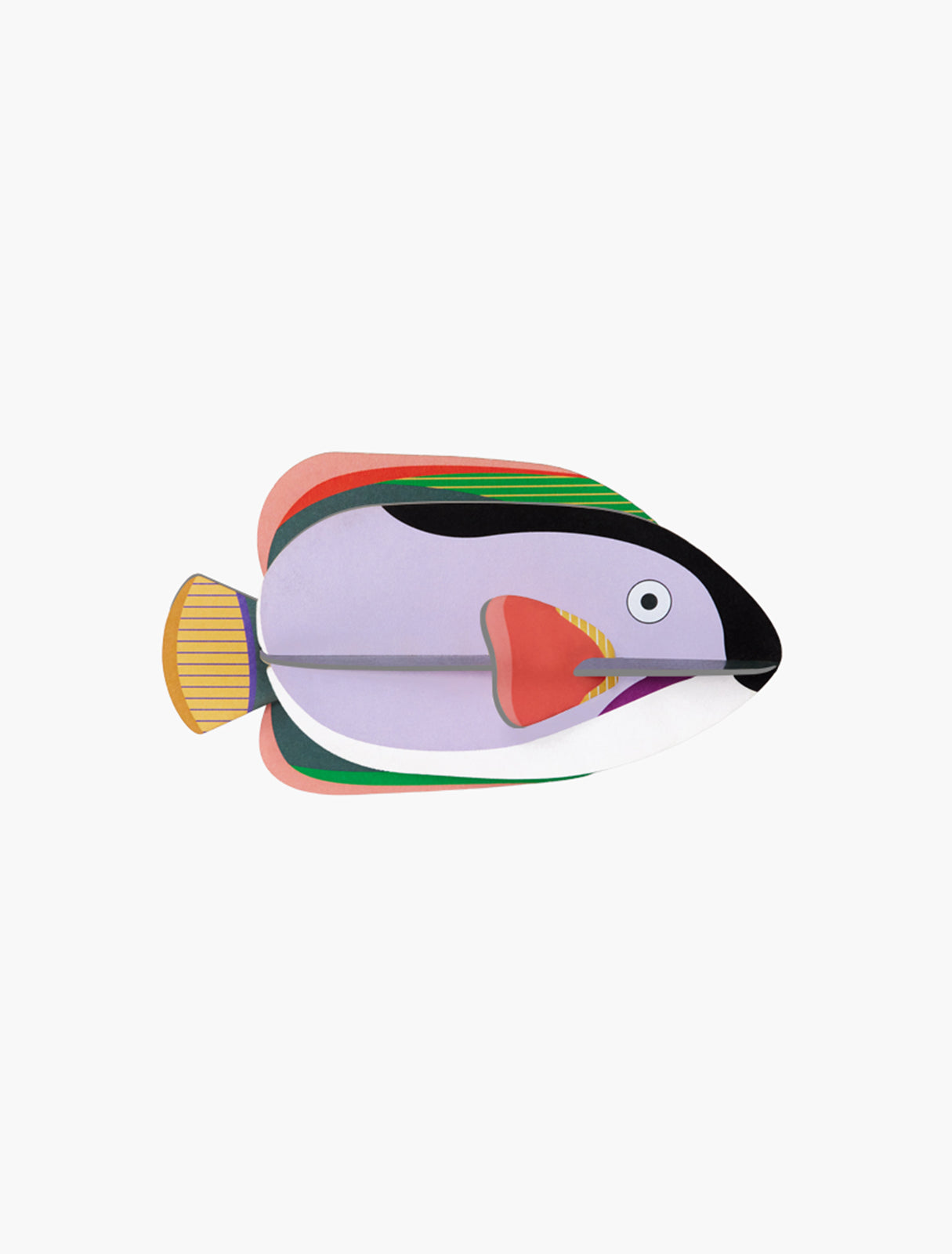 MAQUETA - Studio Roof, King Angelfish