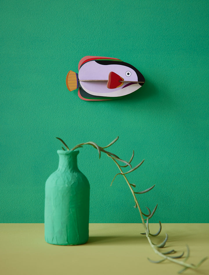 MAQUETA - Studio Roof, King Angelfish