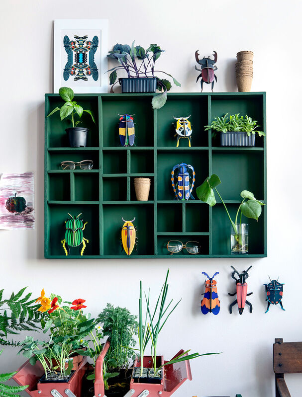 MAQUETA - Studio Roof, Longhorn Beetle