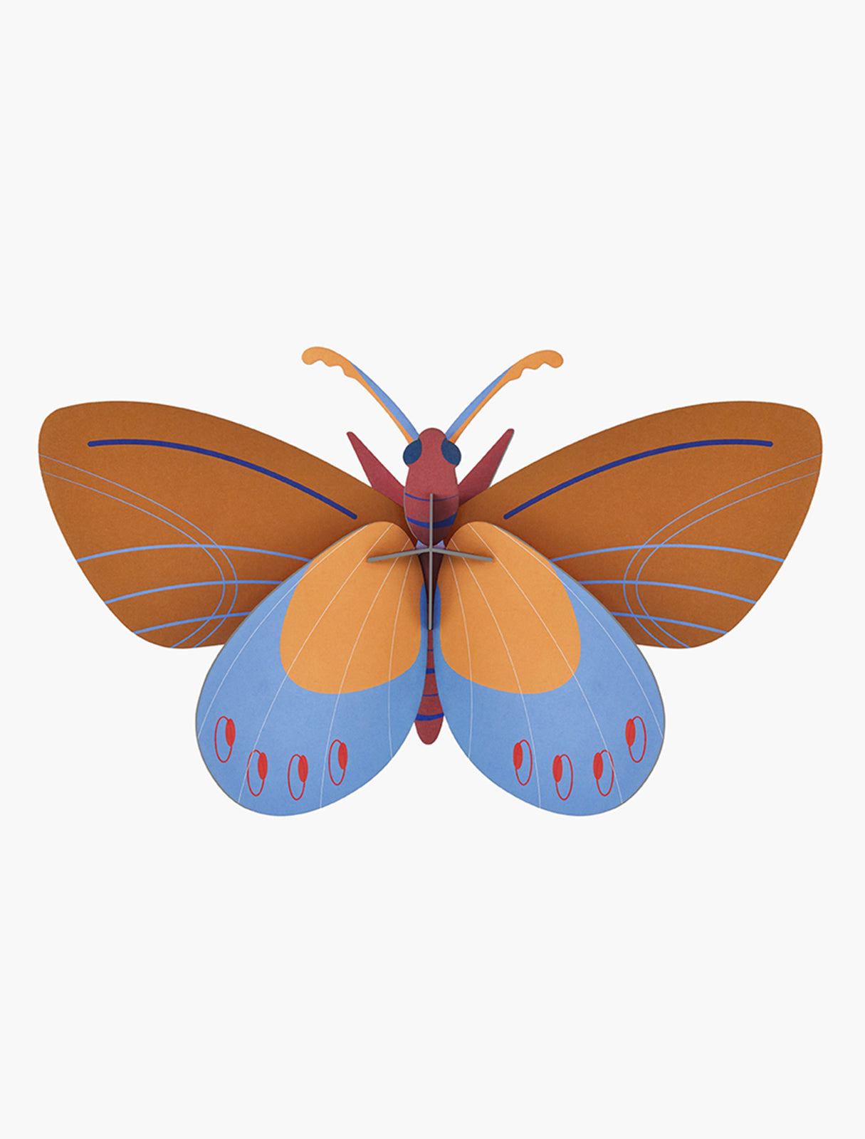 MAQUETA - Studio Roof, Ochre Costa Butterfly