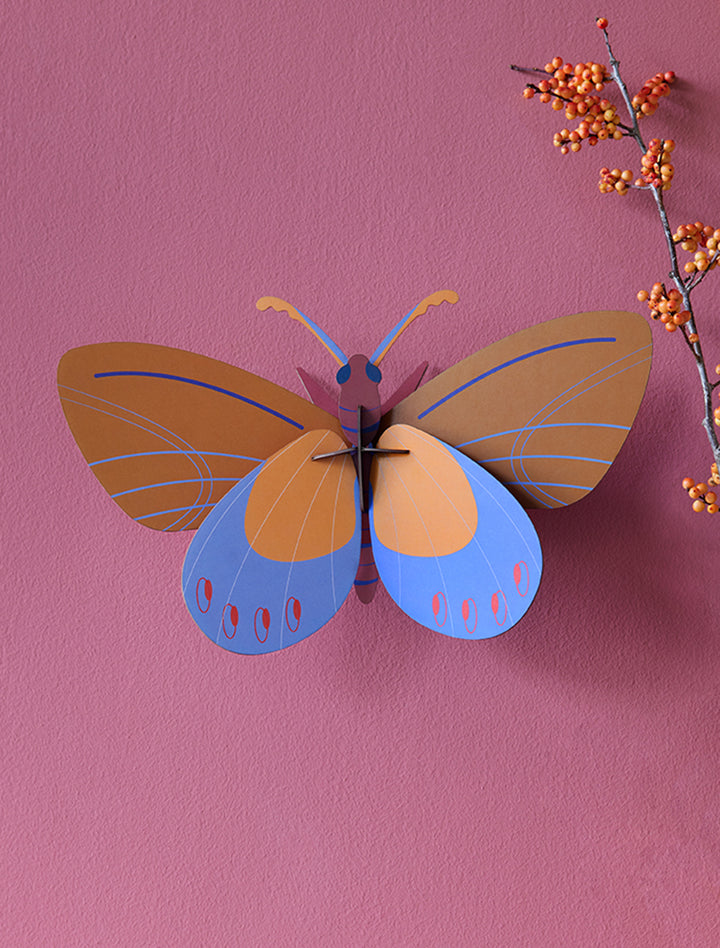 MAQUETA - Studio Roof, Ochre Costa Butterfly