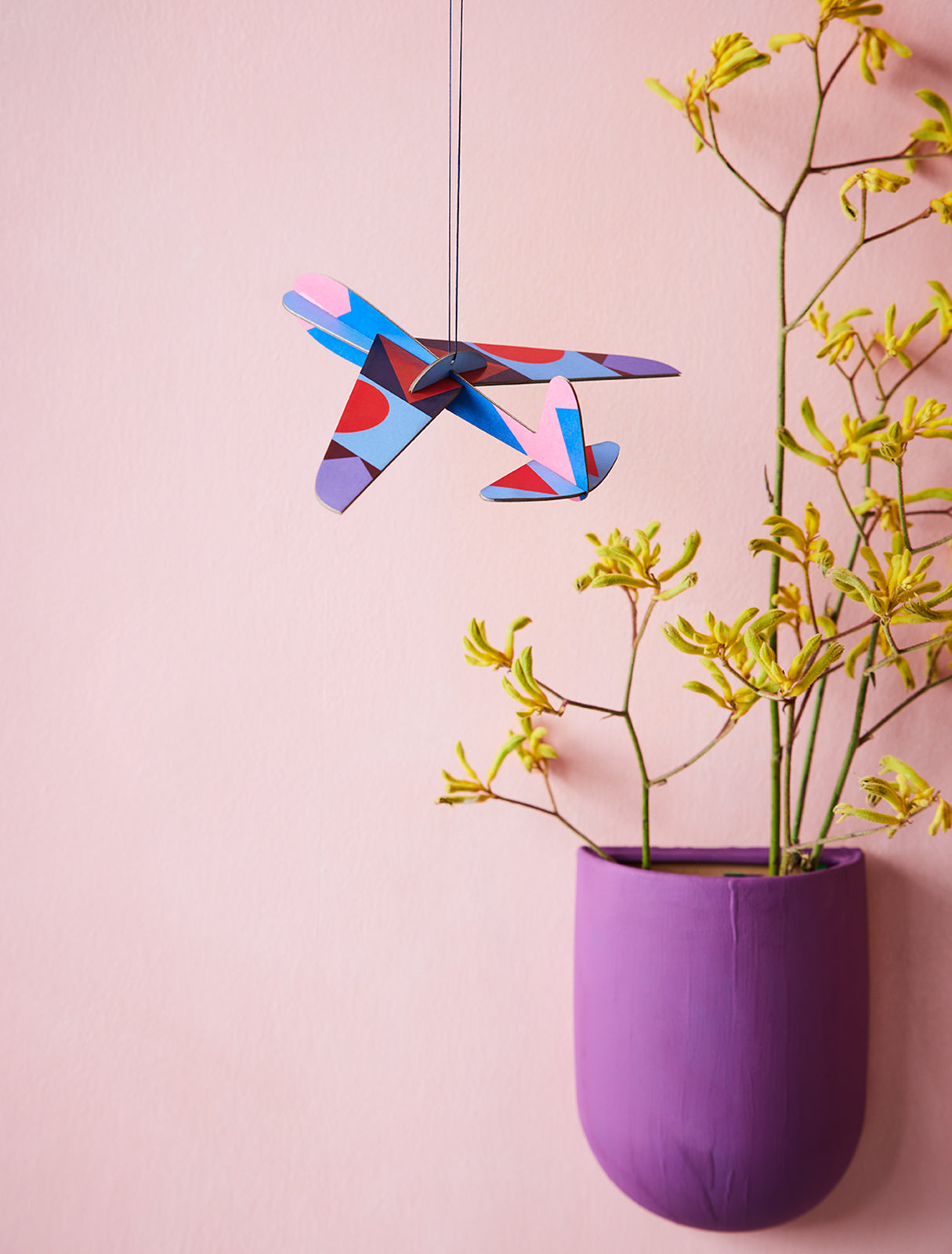 MAQUETA - Studio Roof, Robin plane