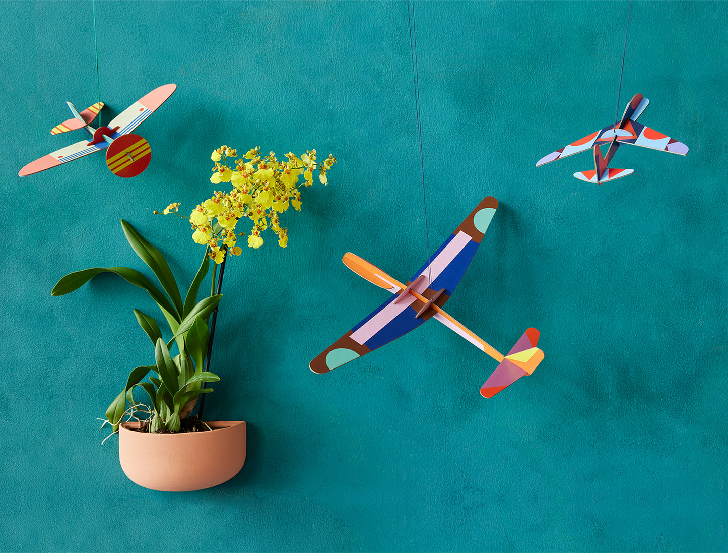 MAQUETA - Studio Roof, Robin plane