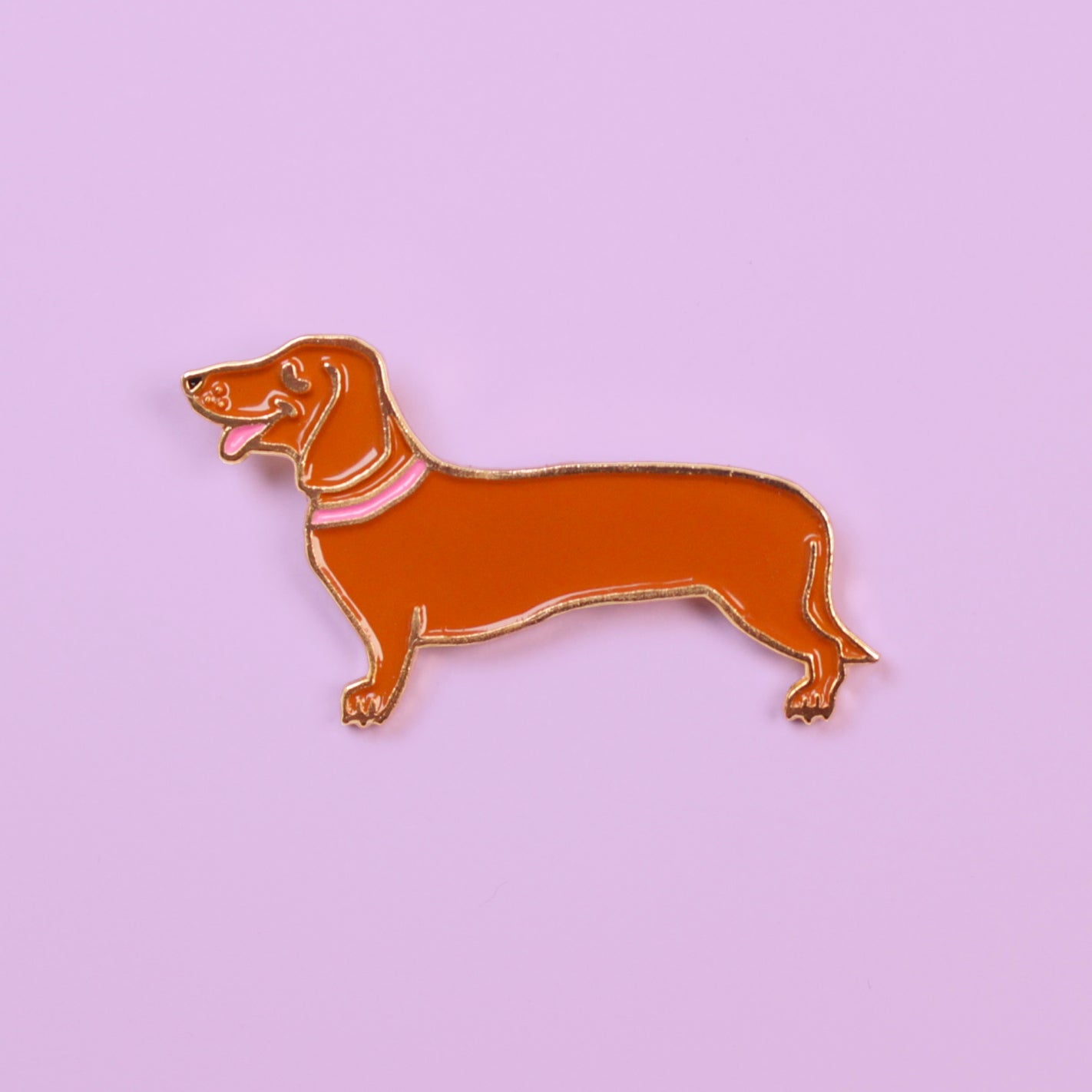 PIN - Coucou Suzette, Teckel