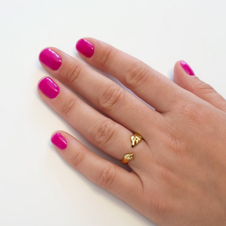 ANILLO - Coucou Suzette, Teckel