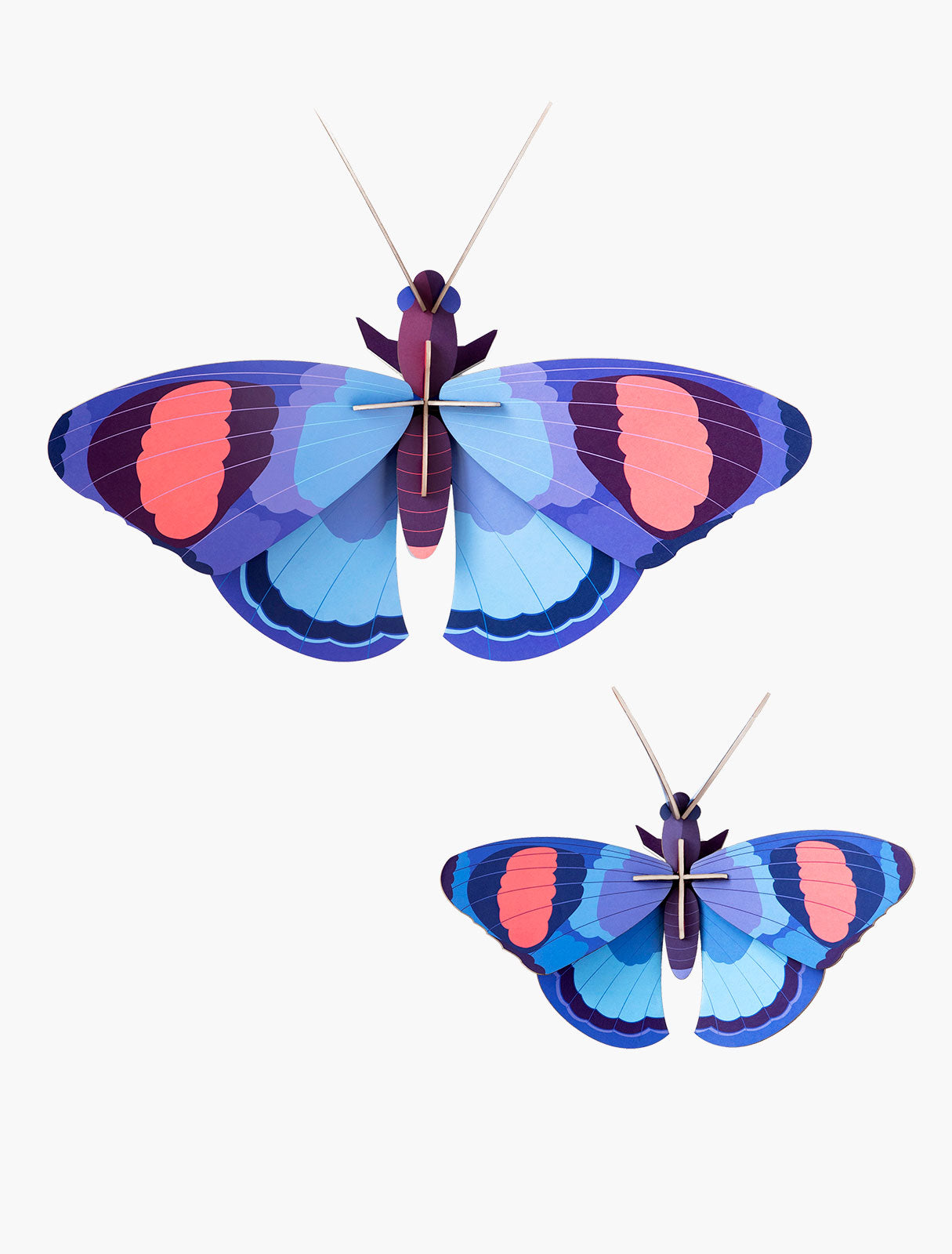 MAQUETA - Studio Roof, Deluxe peacock butterflies