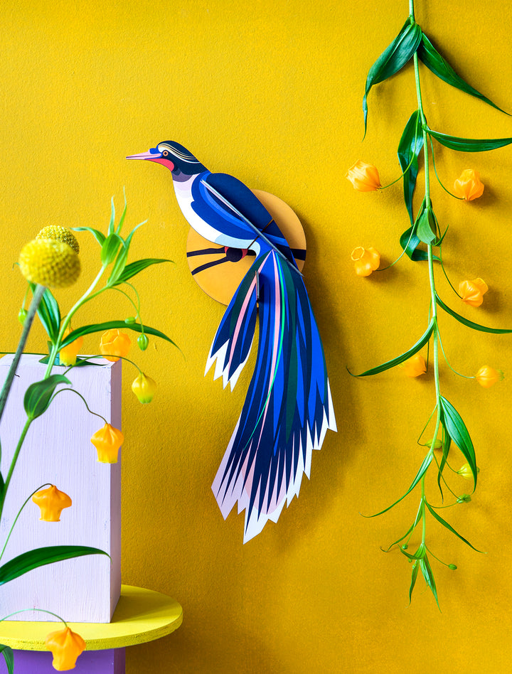 MAQUETA - Studio Roof, Paradise Bird Flores
