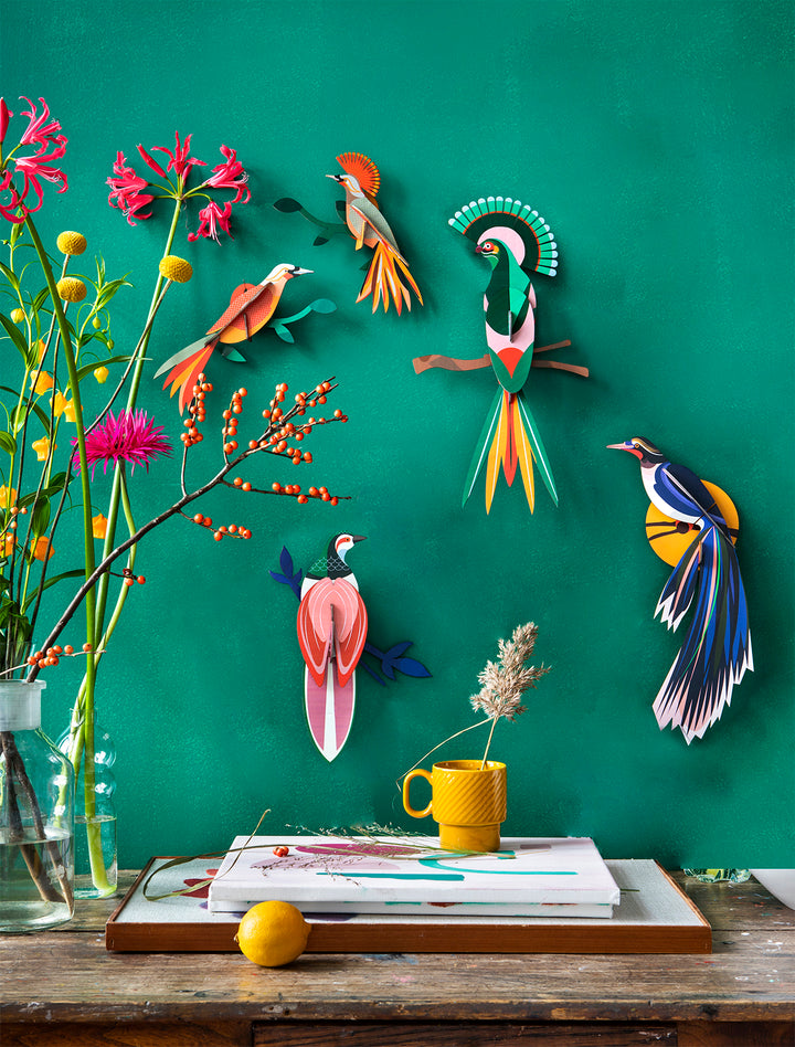 MAQUETA - Studio Roof, Paradise Bird Flores