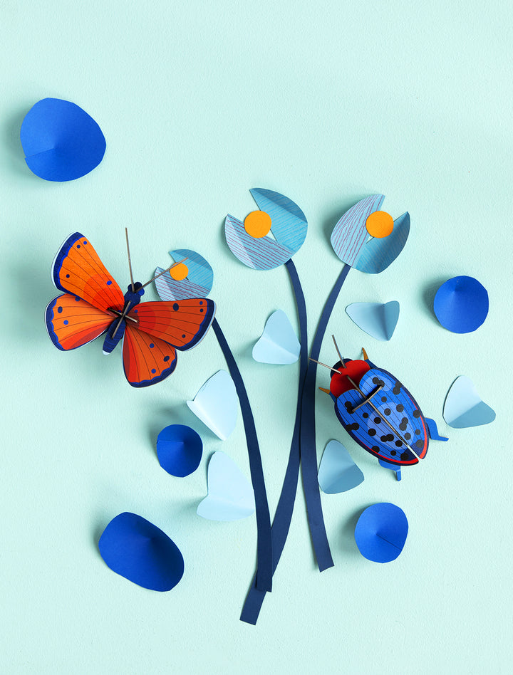 MAQUETA - Studio Roof, Fungus Beetle