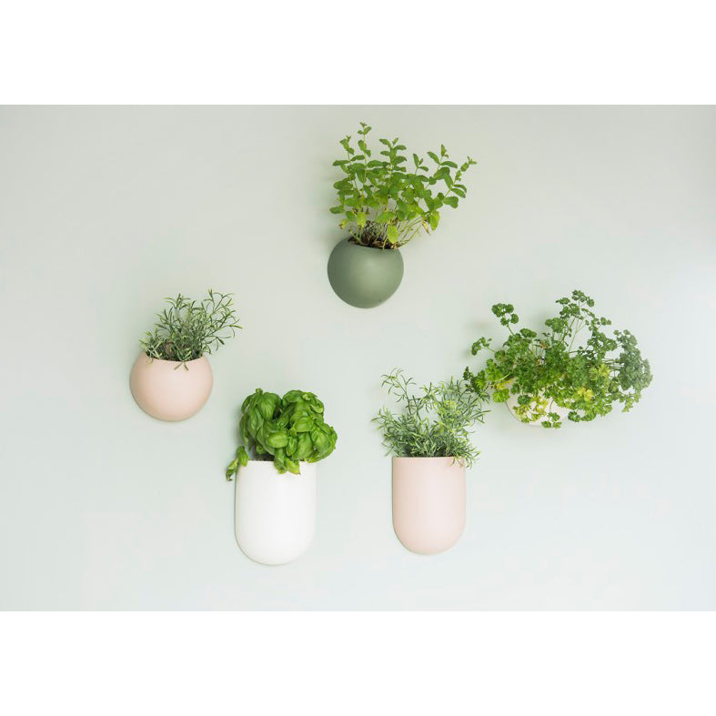 MACETERO PARED - Present Time, Oval rosa