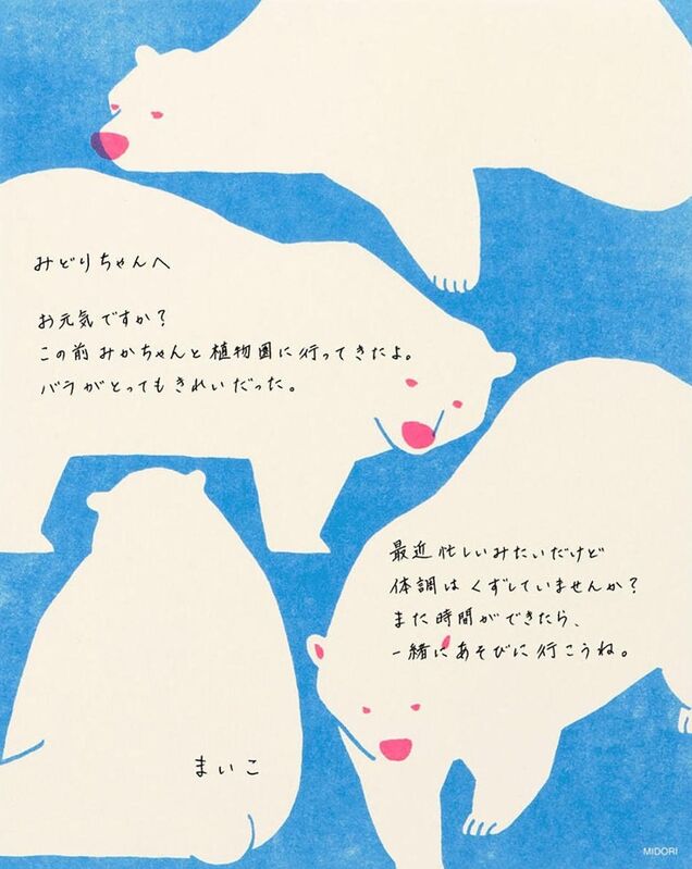 NOTAS - Midori, Oso polar