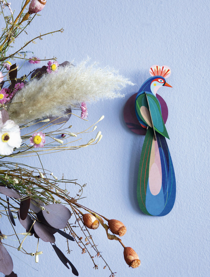 MAQUETA - Studio Roof, Paradise Birds Banda