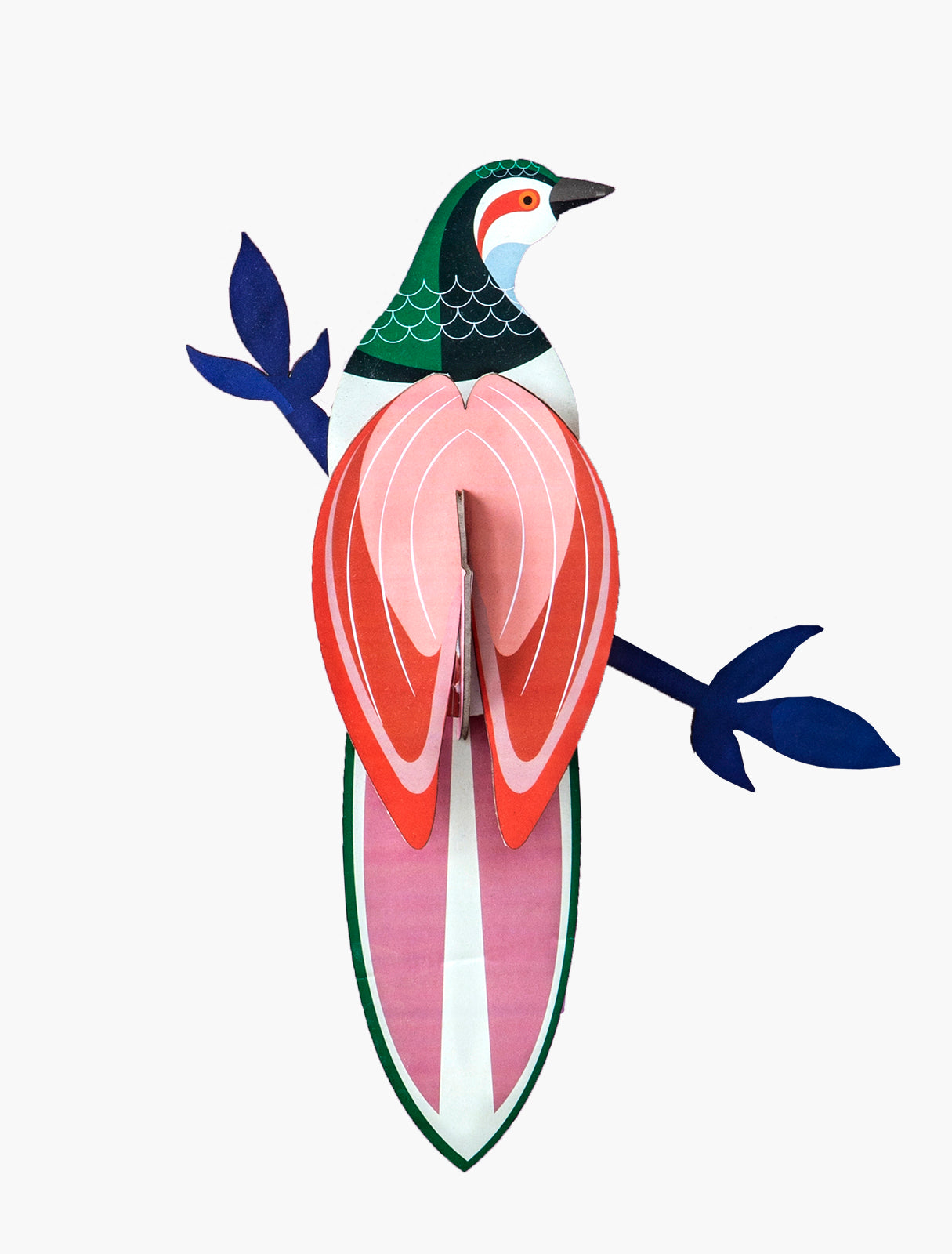 MAQUETA - Studio Roof, Paradise Bird Rani
