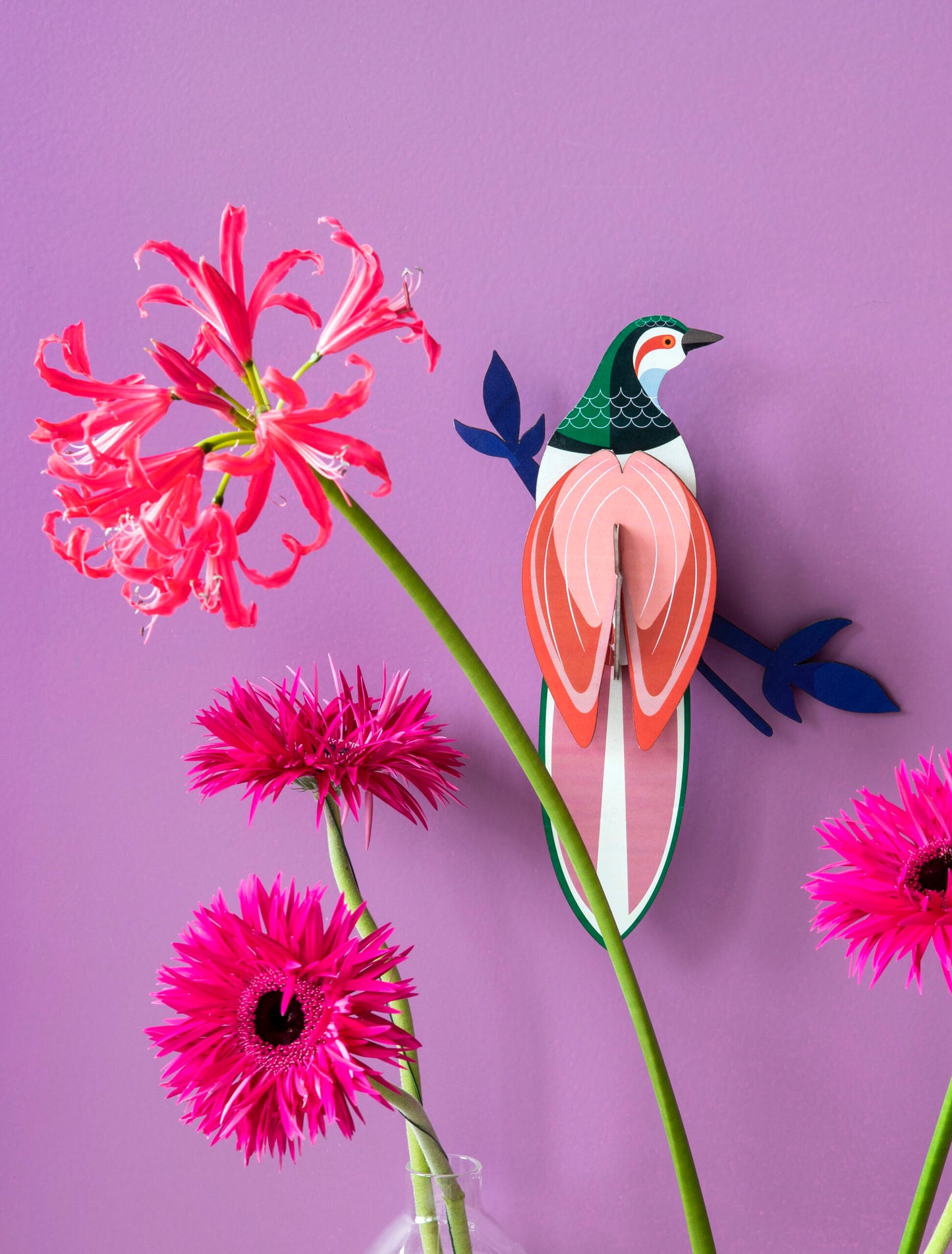 MAQUETA - Studio Roof, Paradise Bird Rani