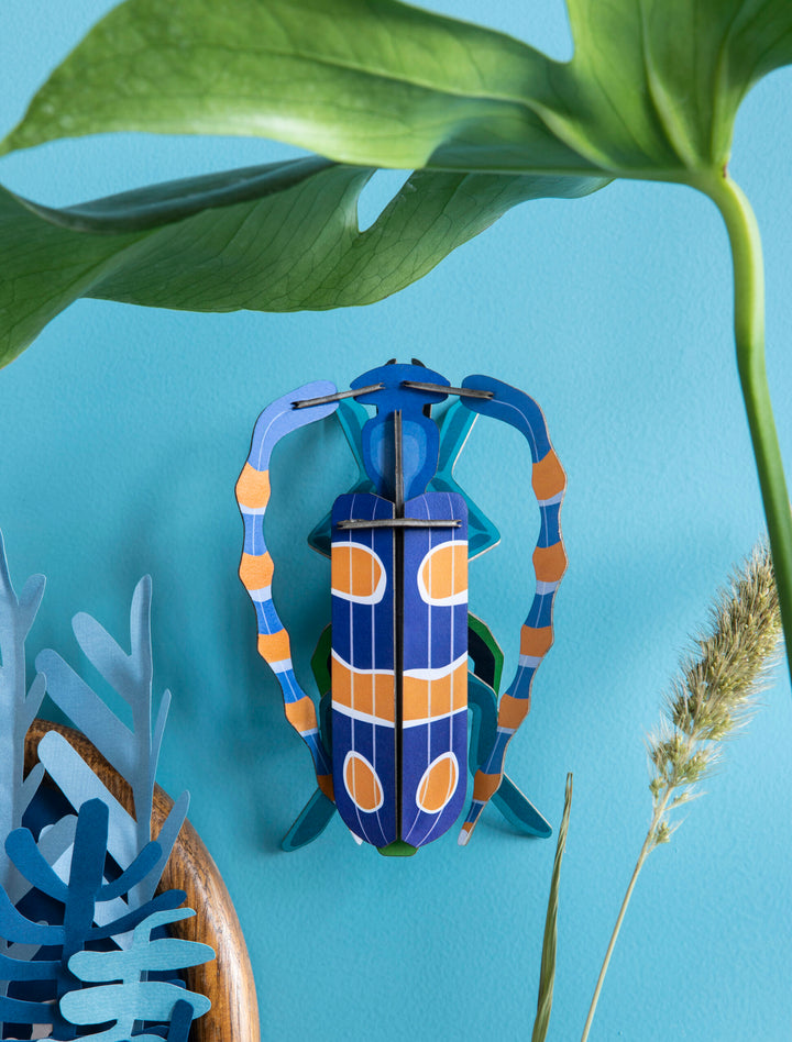 MAQUETA - Studio Roof, Rosalía Beetle