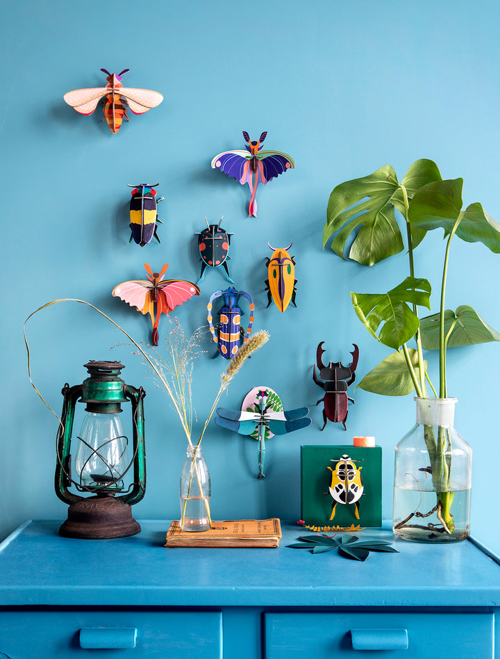 MAQUETA - Studio Roof, Rosalía Beetle