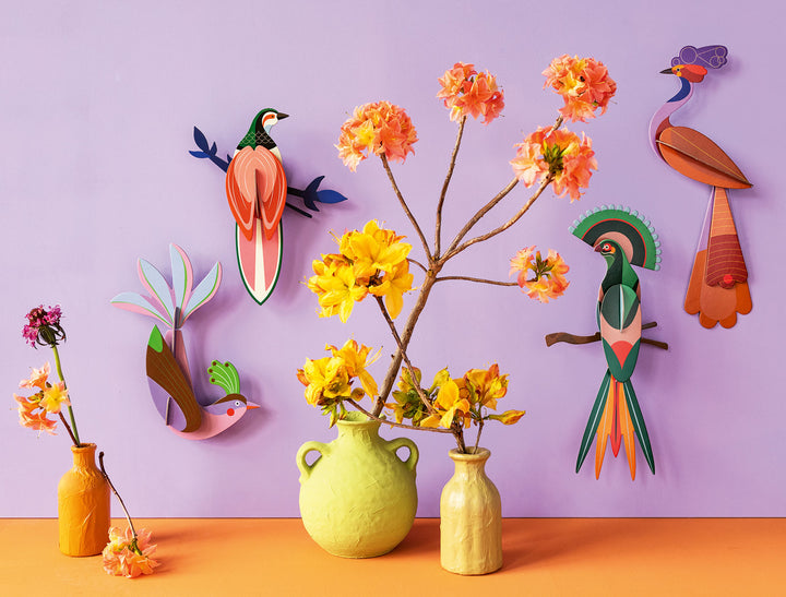 MAQUETA - Studio Roof, Savu