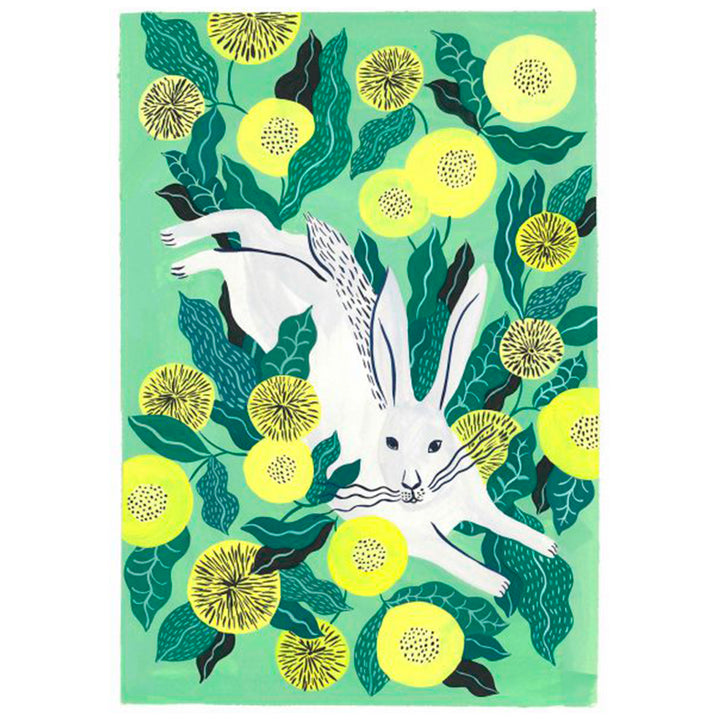 ILUSTRACIÓN - Agathe Singer, Grey Rabbit